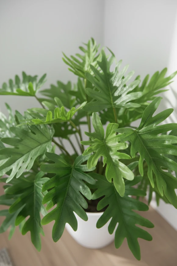 Artificial Philodendron in White Easington Pot - 75cm