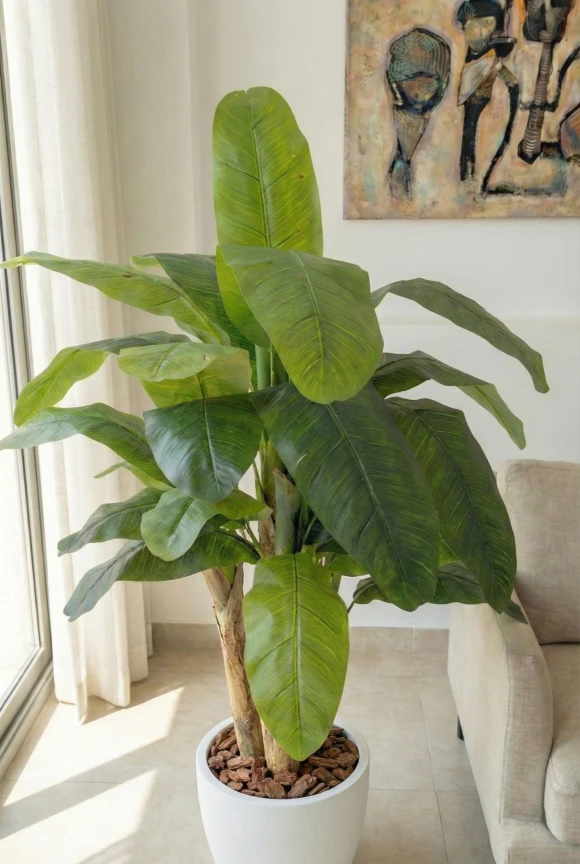 Artificial Banana Tree in White Easington Pot - 140cm