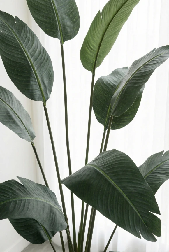 Artificial Traveller Palm in Black Easington Pot - 210cm