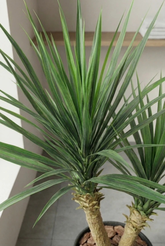 Artificial Yucca in Black Easington Pot - 100cm