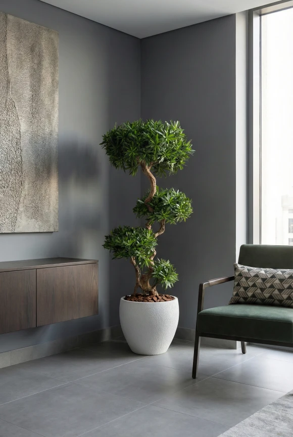 Artificial Podocarpus Cloud in White Easington Pot - 150cm