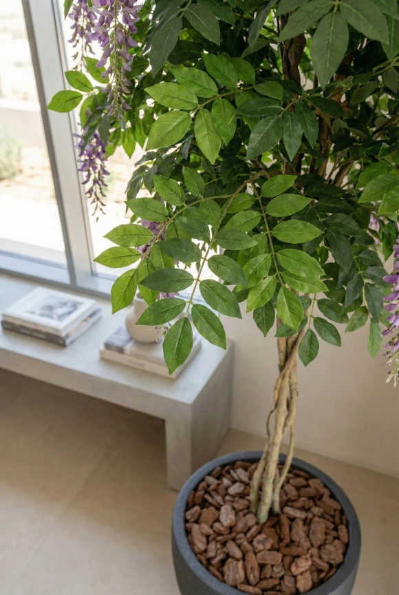 Artificial Wisteria Tree in Easington Pot - 210cm
