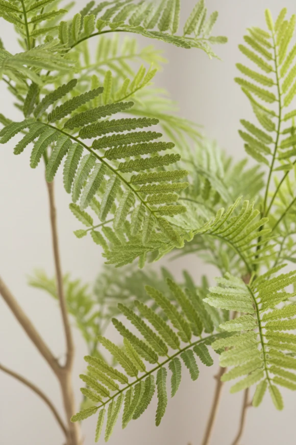 Artificial Jacaranda Tree in White Easington Pot - 180cm