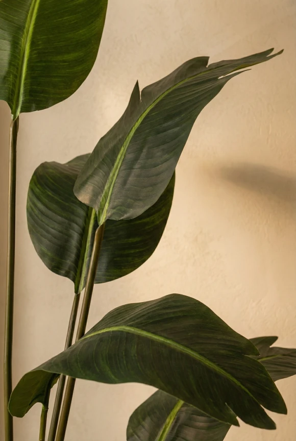 Artificial Bird of Paradise in Mocha Earle Dumpy Pot - 180cm