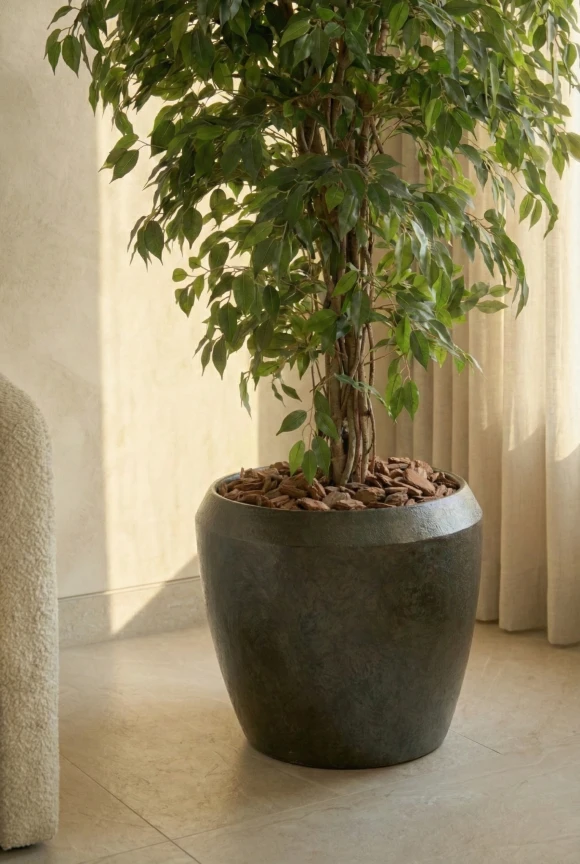 Artificial Ficus Liana in Mocha Earle Dumpy Pot - 150cm