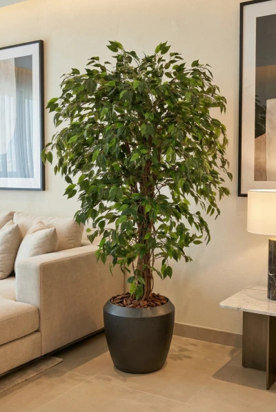 Artificial Ficus Liana in Slate Earle Dumpy Pot - 150cm
