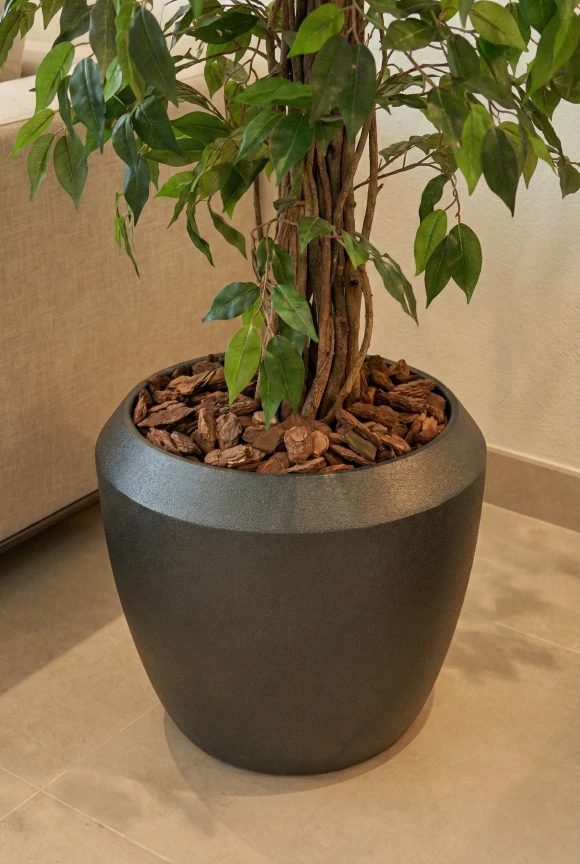 Artificial Ficus Liana in Slate Earle Dumpy Pot - 150cm