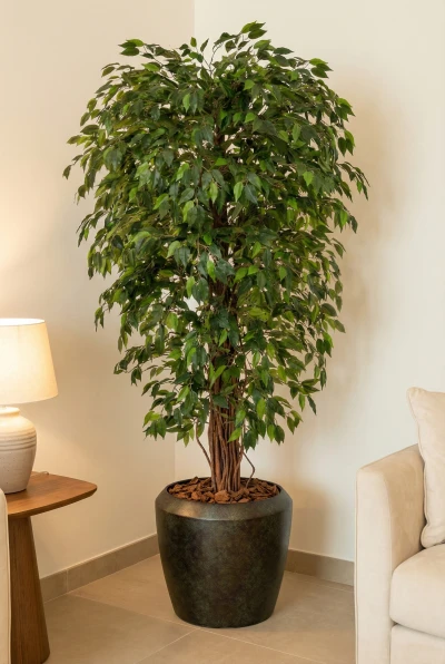 Artificial Ficus Liana in Mocha Earle Dumpy Pot - 180cm