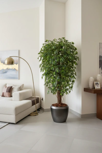 Artificial Ficus Liana in Slate Earle Dumpy Pot - 180cm