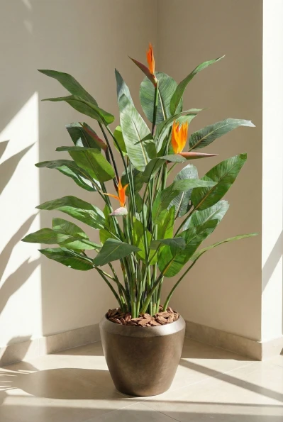 Artificial Flowering Bird of Paradise in Mocha Earle Dumpy Pot - 120cm
