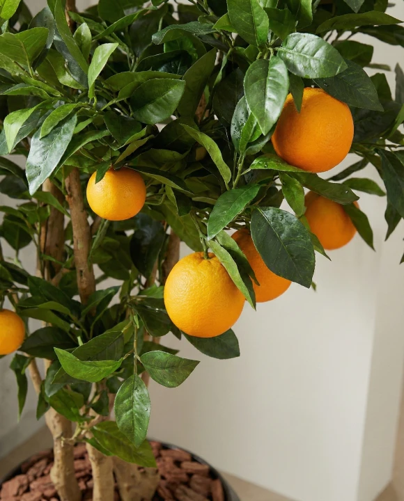 Artificial Orange Tree in Mocha Earle Dumpy Pot - 150cm
