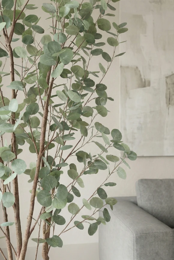 Artificial Eucalyptus Tree in Slate Earle Dumpy Pot - 240cm