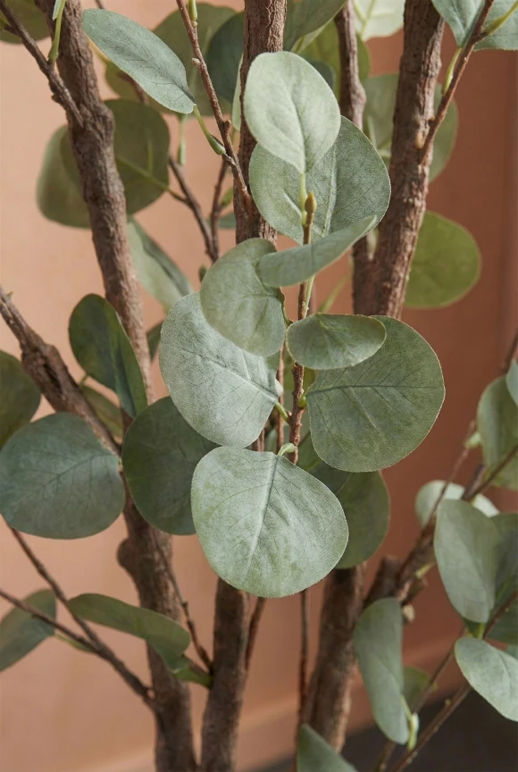 Artificial Eucalyptus Tree in Slate Earle Dumpy Pot - 180cm