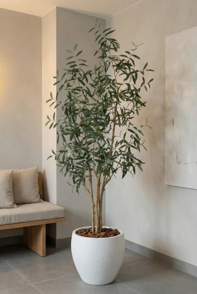 Artificial Olive Tree in White Easington Pot - 210cm