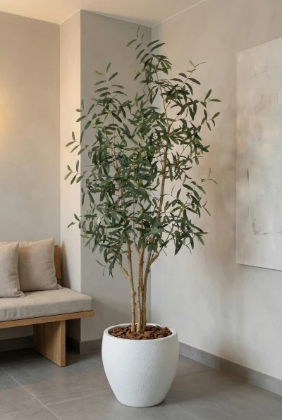 Artificial Olive Tree in White Easington Pot - 210cm