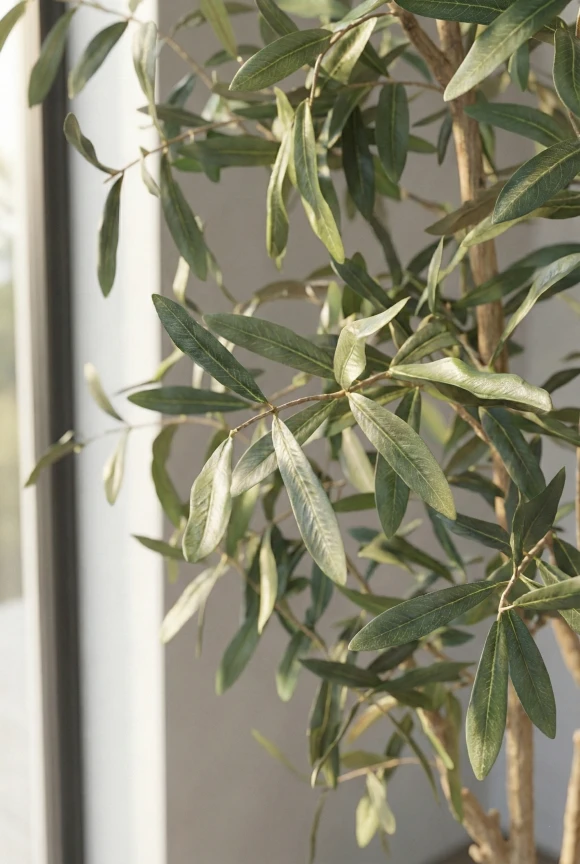 Artificial Olive Tree in Black Easington Pot - 210cm