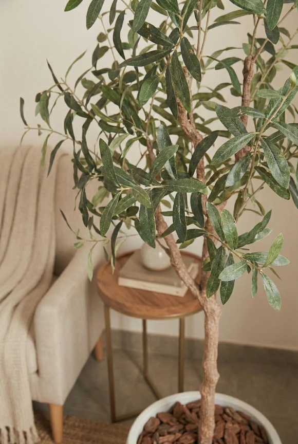 Artificial Olive Tree in White Easington Pot - 180cm