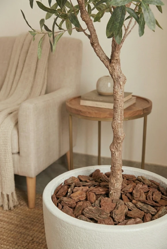 Artificial Olive Tree in White Easington Pot - 180cm