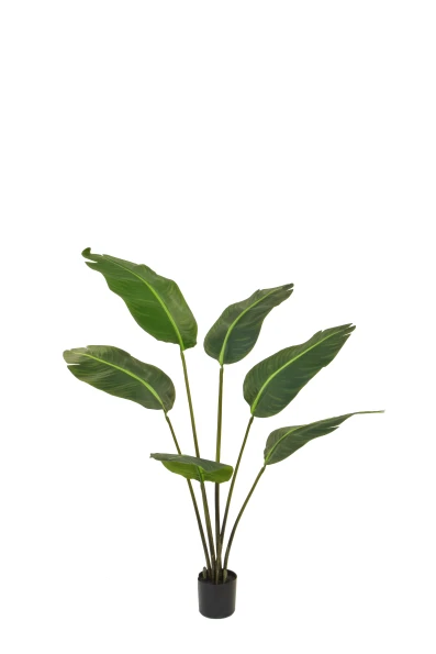 Artificial Traveller Palm - 160cm