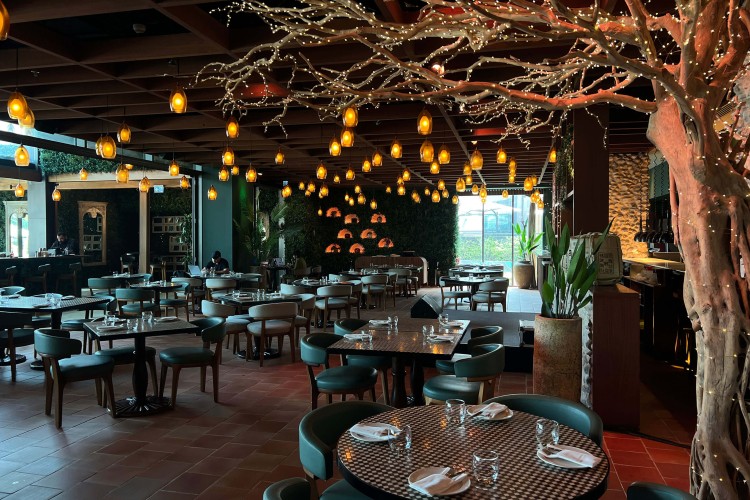 شجرة مانزانيتا وجدار أخضر اصطناعي