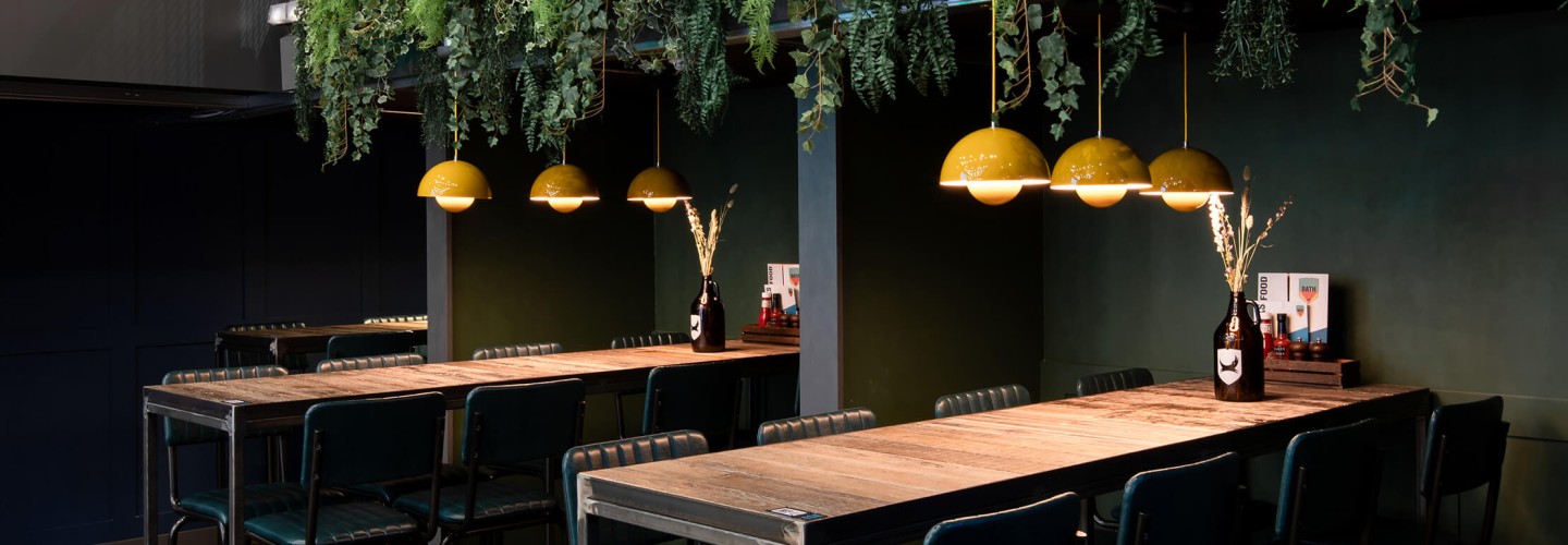 Hanging plants in a bar
