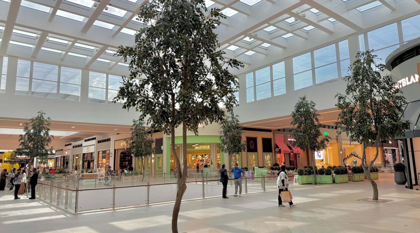 أشجار اللبخ في دبي هيلز مول