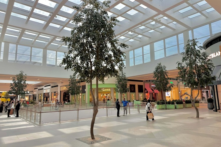 أشجار اللبخ في دبي هيلز مول