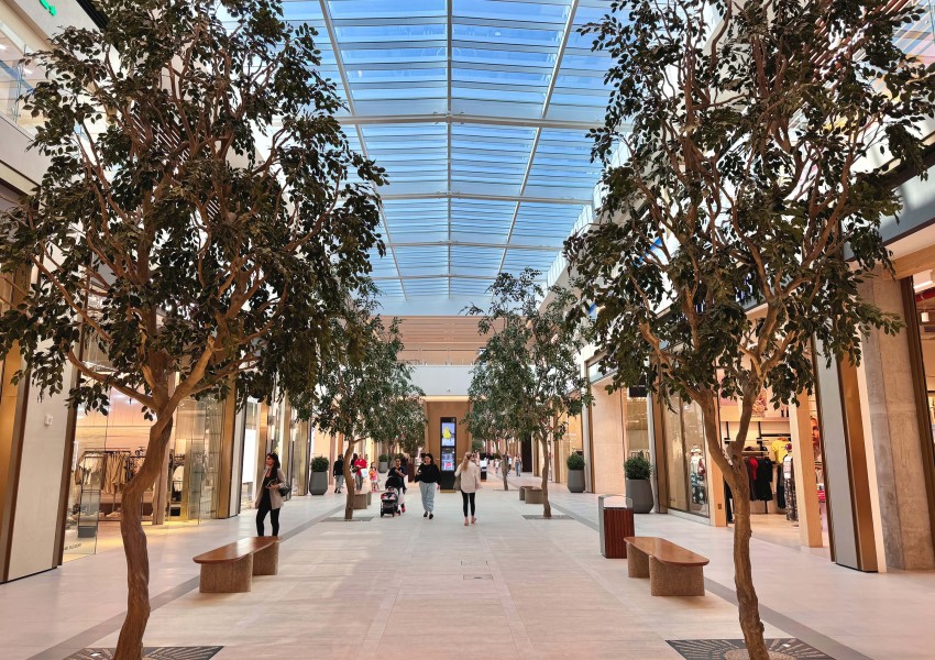 أشجار اللبخ في دبي هيلز مول