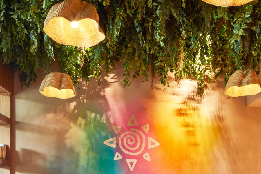 hanging plants from ceiling