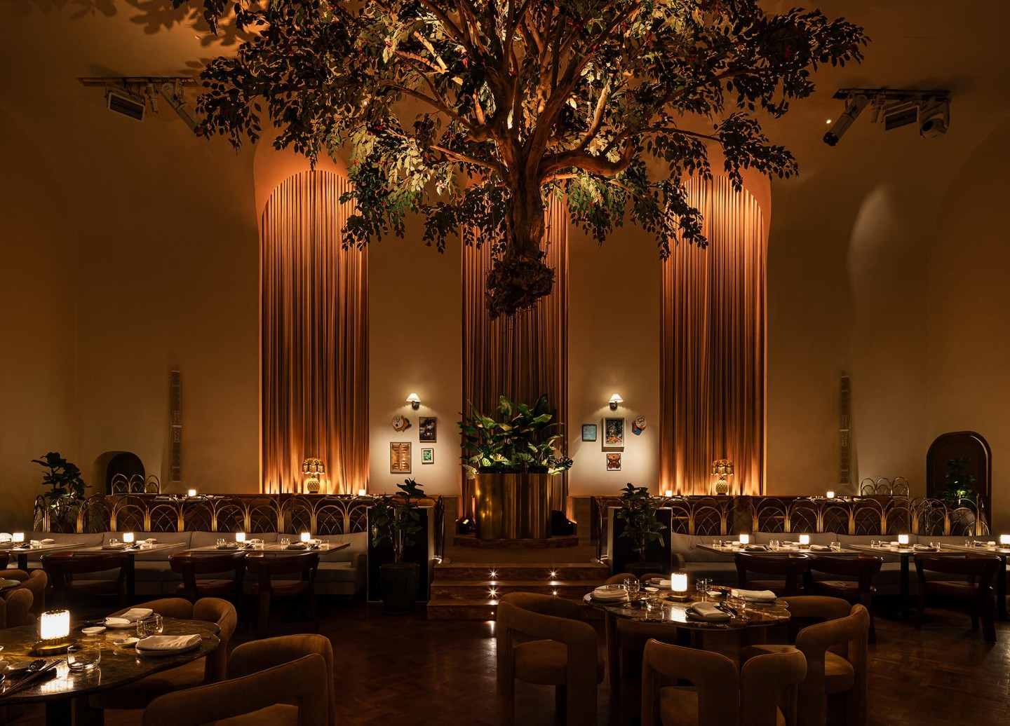 شجرة معلقة من السقف في المطعم